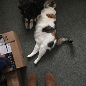 Meet your Posher, Mary